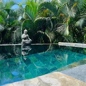  Hébergement de vacances O Palm : Dans Un Petit Ecrin De Verdure